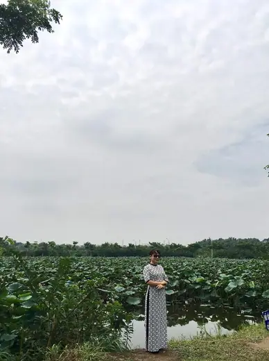 Một cô giáo mặc áo dài đứng bên đầm sen, chụp từ xa.